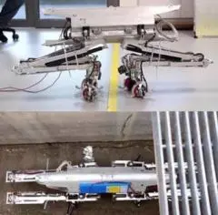 Tarantula