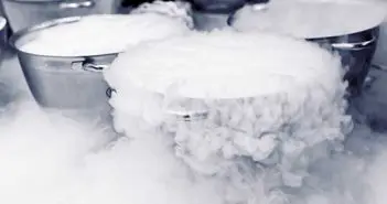 Launch of NASA’s New Landsat 9 Satellite Delayed Because of a Liquid Nitrogen Shortage