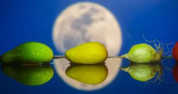 Aussies to Host First Farmers Markets on the Moon