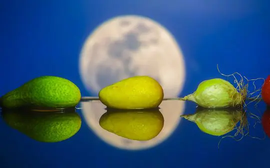 Aussies to Host First Farmers Markets on the Moon