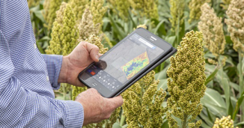 Eyes on Australian Agricultural Intelligence