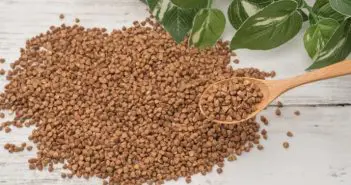 Australia Research Flags Buckwheat as Future Space Food Supply Solution buckwheat