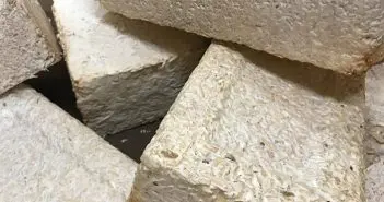 NASA Researchers Win Funding to Grow Houses From Fungi
