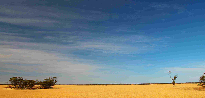 New Smart CRC and SA Gov’t Project to Improve Environmental Monitoring