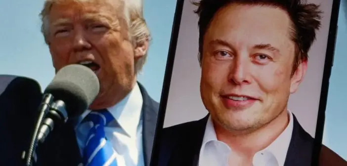 Musk’s Government Efficiency Squad