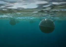 First Belgian rMCM Vessel Oostende Marks Turning Point in Naval Innovation