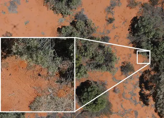 WA scientists track meteorite using AI drone technology