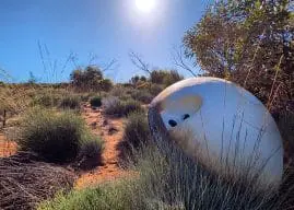 Varda W-6 capsule returns to Earth at Southern Launch’s Koonibba Test Range