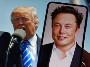 Musk’s Government Efficiency Squad
