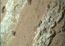 Mars Rover discovers potential biosignature